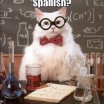 chemistry cat_silicone