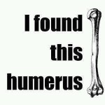 humerus