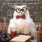 Chemistry Cat_OMG