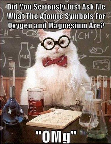 Chemistry Cat_OMG