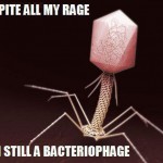 bacteriophage