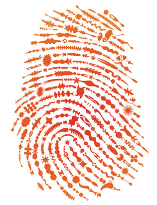 fingerprint bacteria