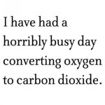 o2 to co2