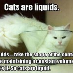 liquid cats