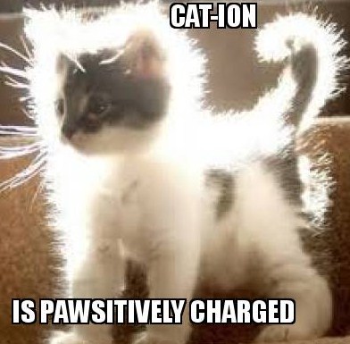 cat-ion