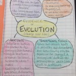 pg. 65 – Evidence of Evolution