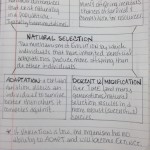 pg. 67 – Natural Selection