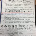 73-Classification Notes