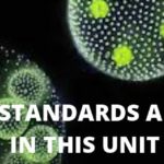 cell unit banner